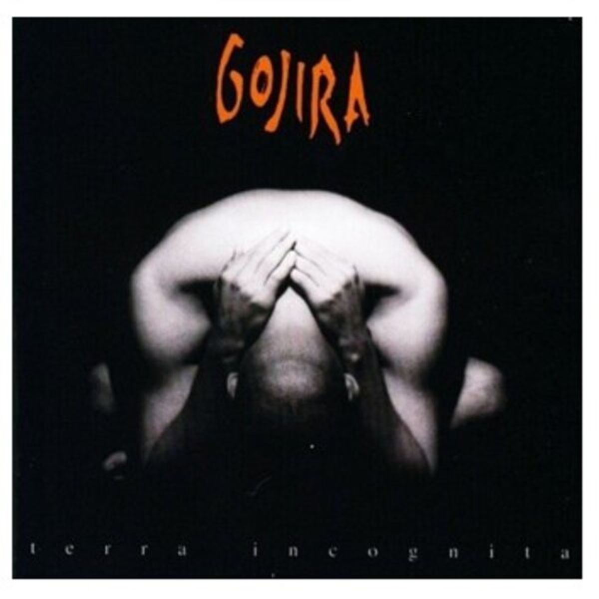 GENERICO - Gojira  Terra Incognita Vinilo Doble