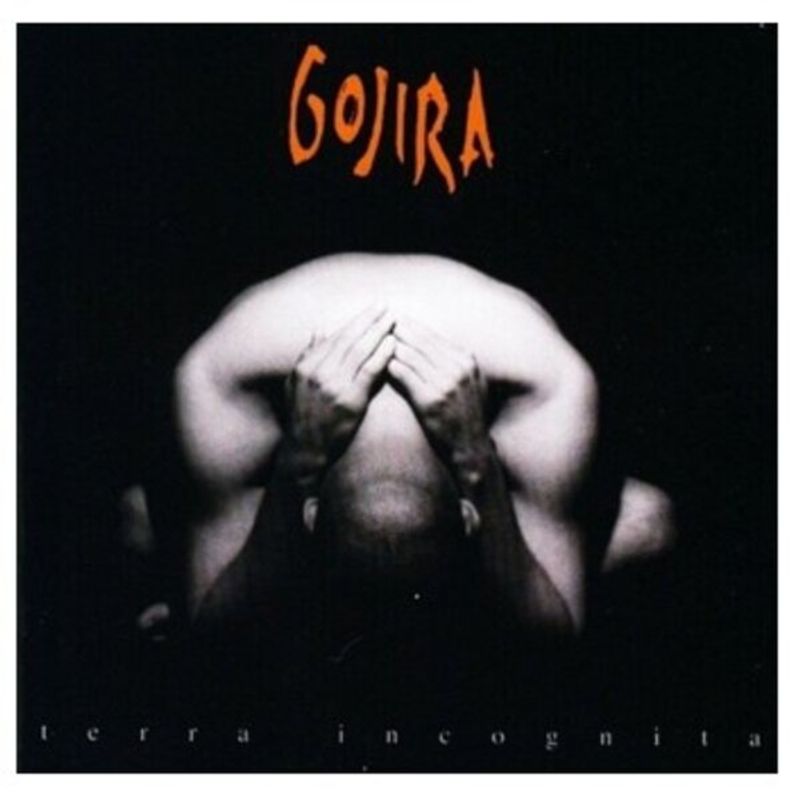 GENERICO - Gojira  Terra Incognita Vinilo Doble