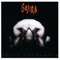 GENERICO - Gojira Terra Incognita Vinilo Doble