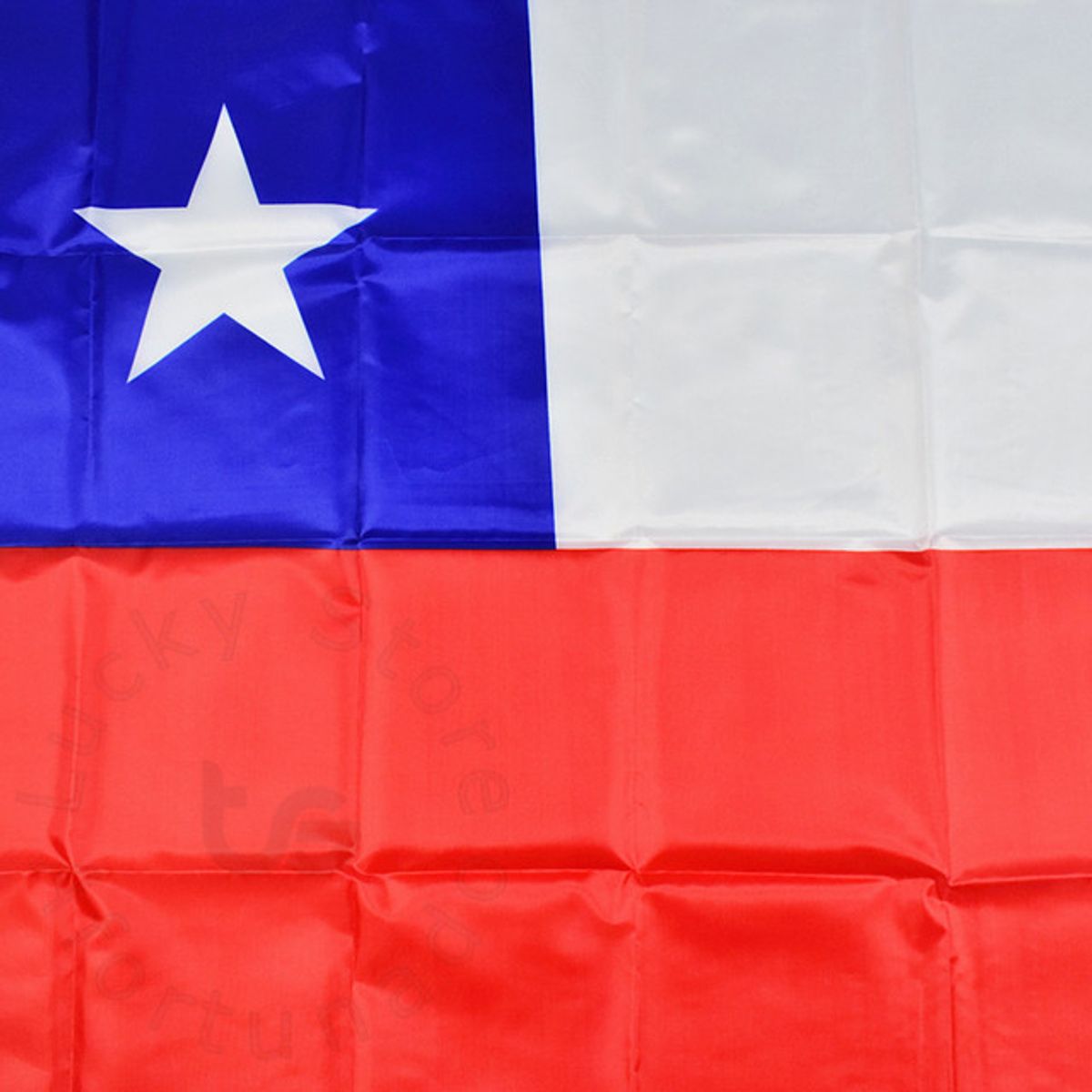 GENERICO - Bandera Chile Chilena Grande Tela Plastica Delgada 90x150cm