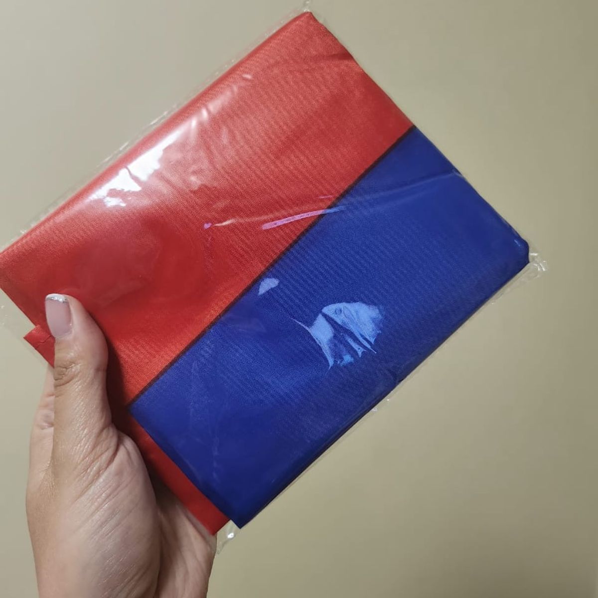 GENERICO - Bandera Chile Chilena Mediana Tela Plastica Delgada 60x90cm