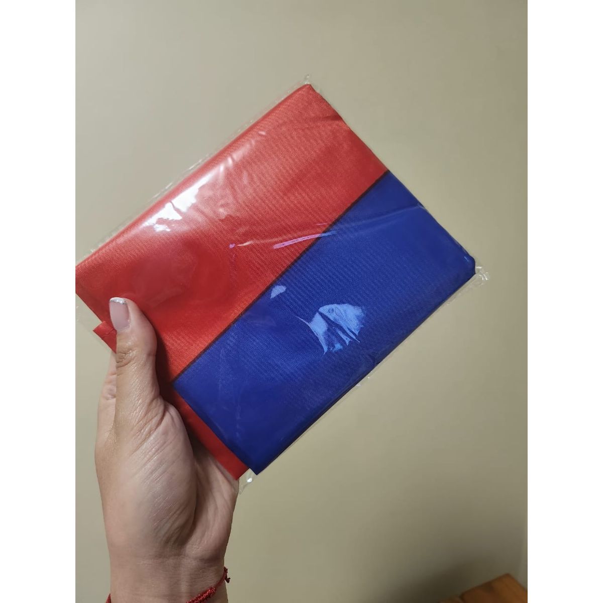 GENERICO - Bandera Chile Chilena Mediana Tela Plastica Delgada 60x90cm