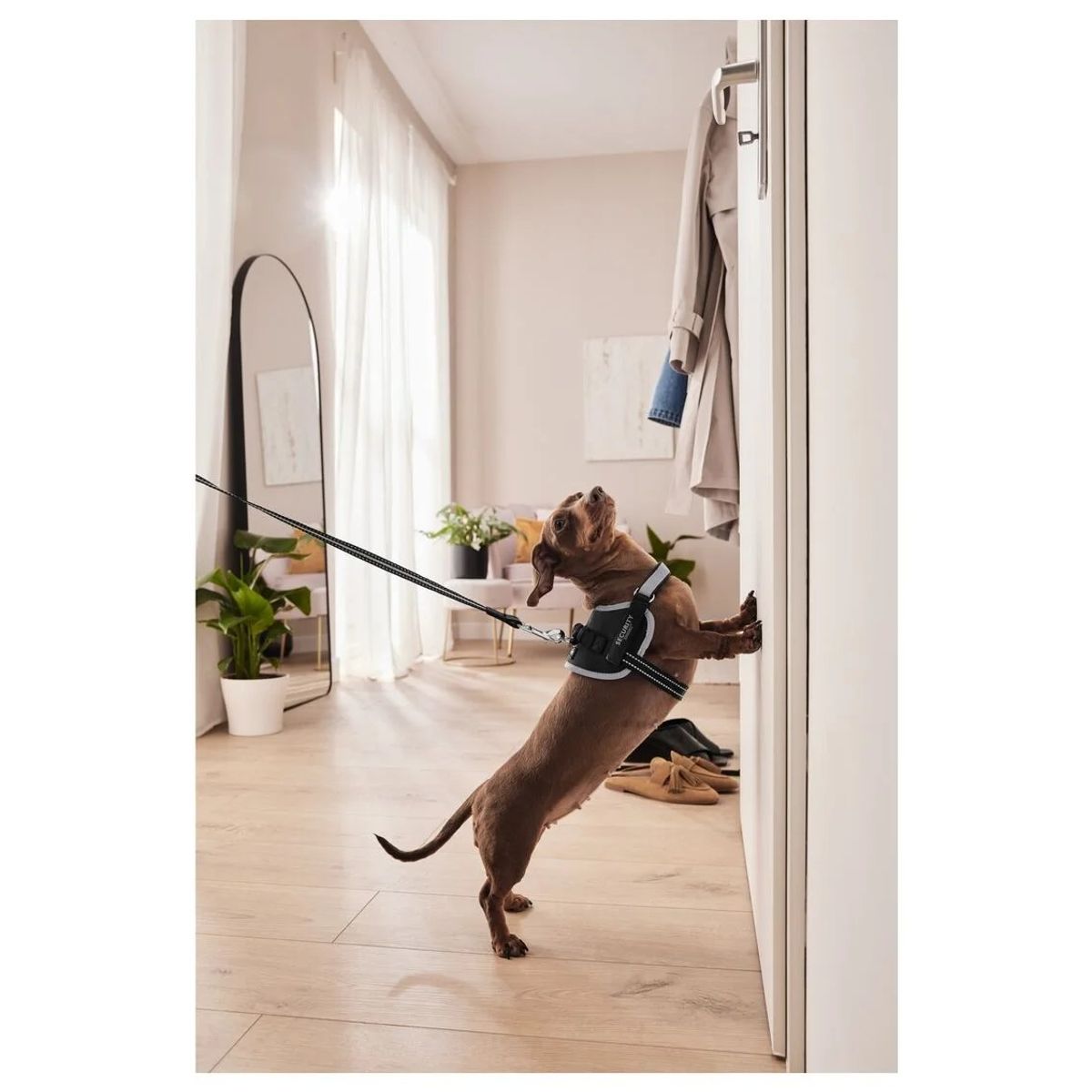 GENERICO - Arnés Anti-tirones negro