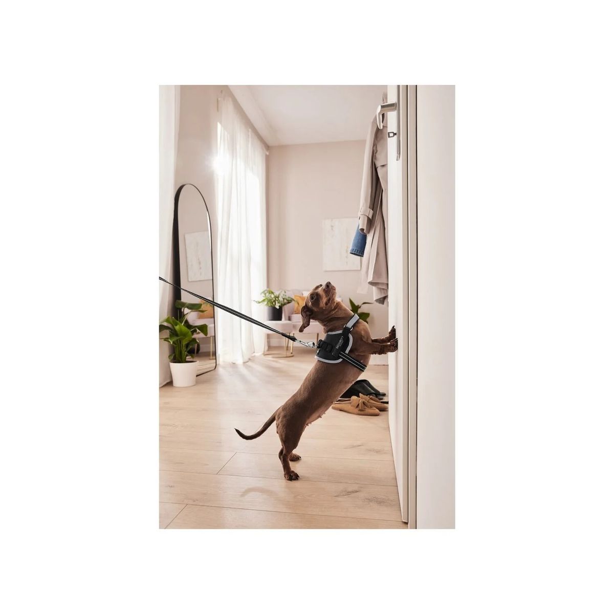 GENERICO - Arnés Anti-tirones negro