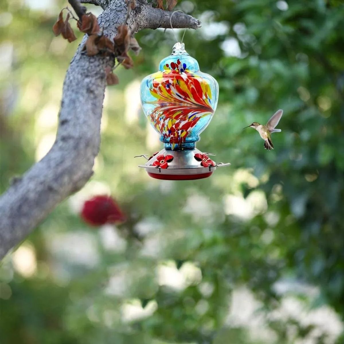 GENERICO - Bebedero y Comedero Para Colibries