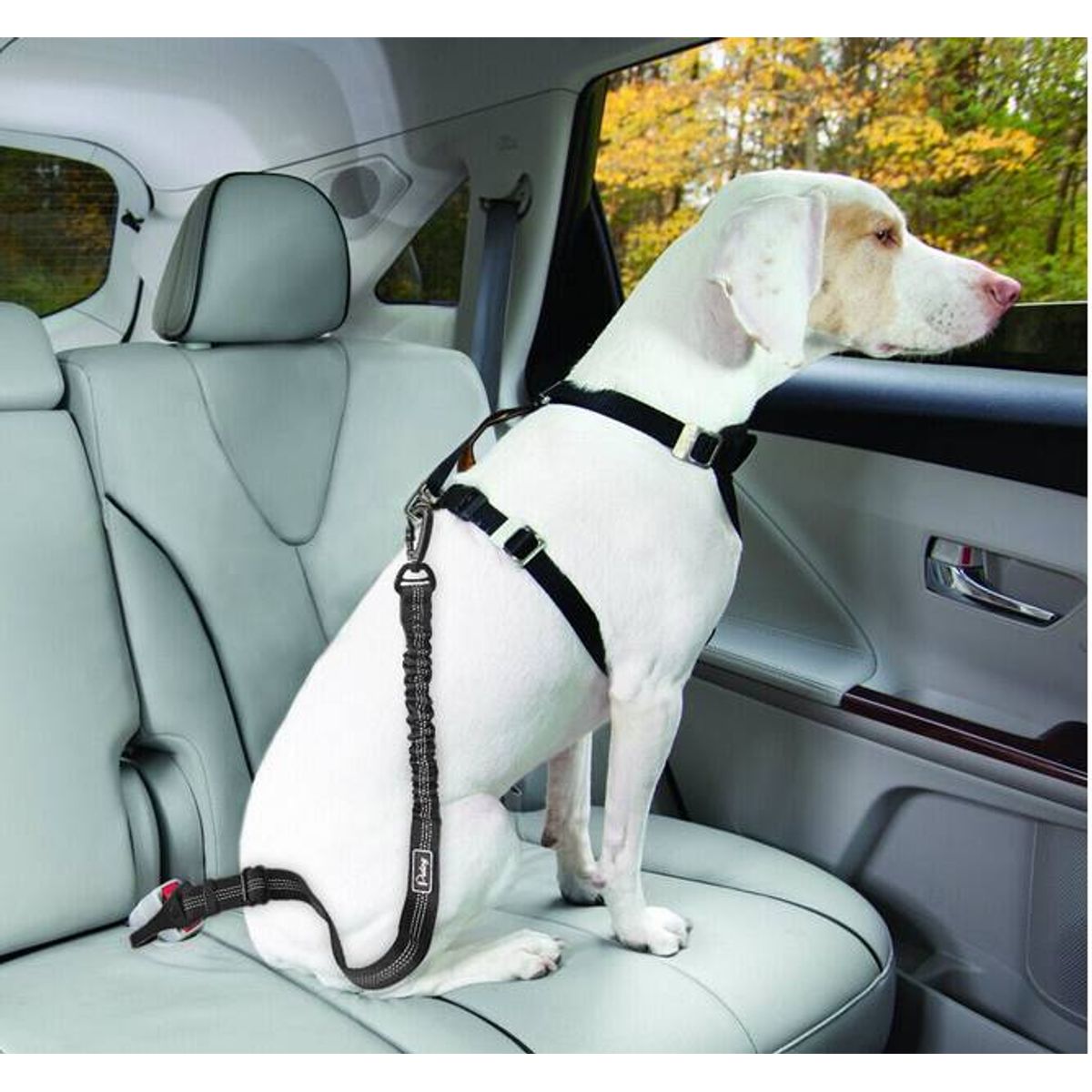 GENERICO - Correa de seguridad para perro en auto