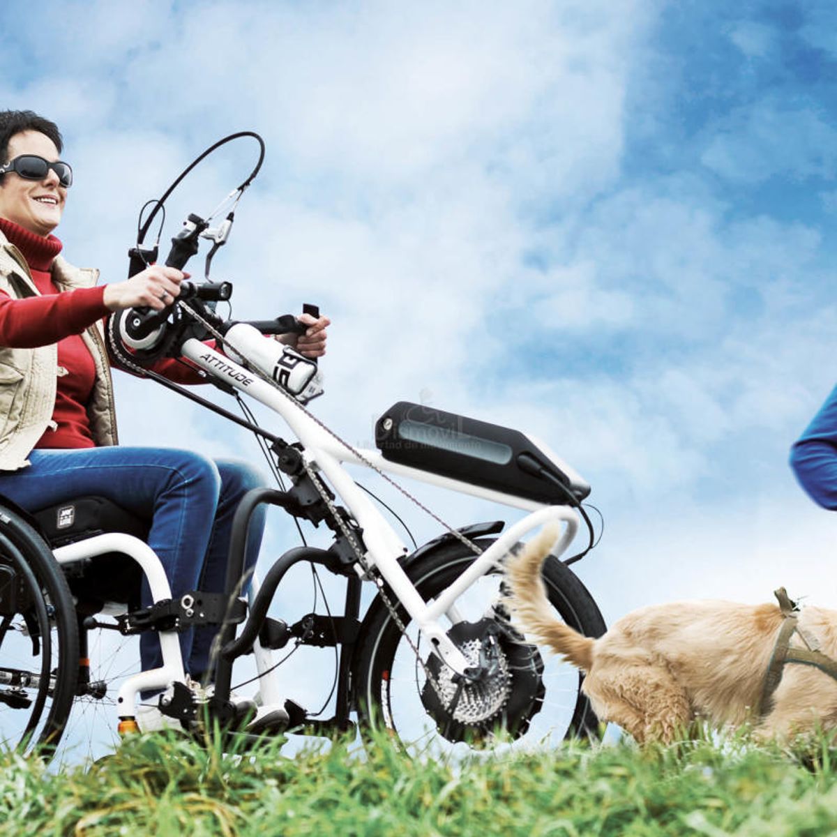 GENERICO - Handbike Manual + Silla De Ruedas Semi Activa Talla 36
