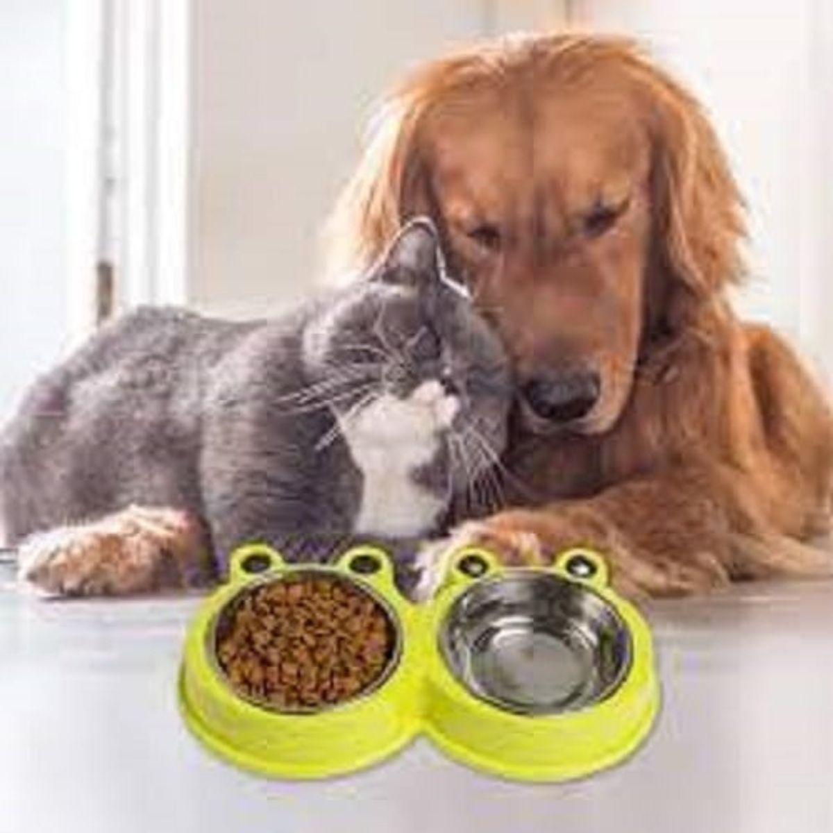 GENERICO - Plato Doble Comida Y Agua Mascota Diseño Rana Color Macho