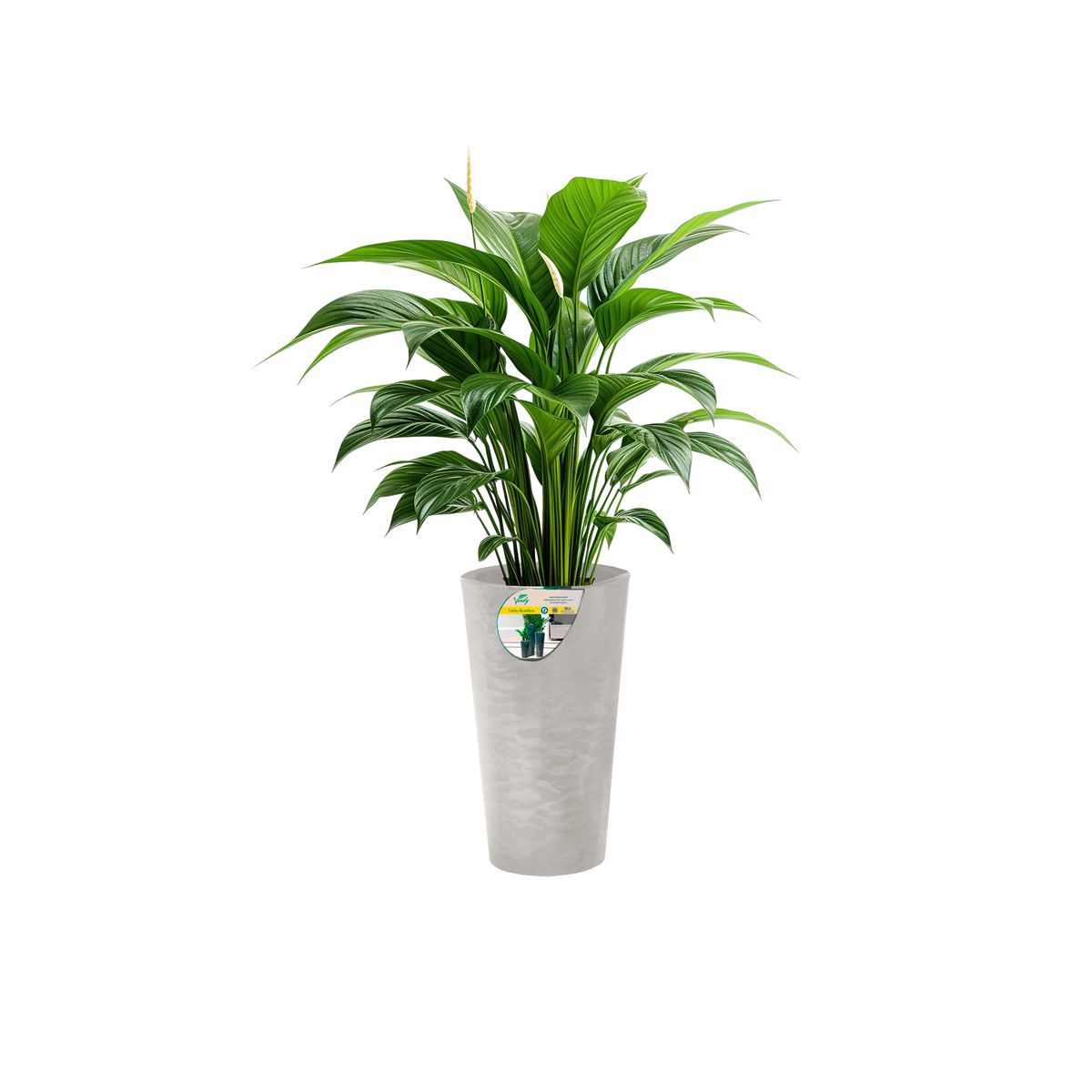 VERDY - Maceta Alcántara Blanco 24x50cms Efecto Marmoleado