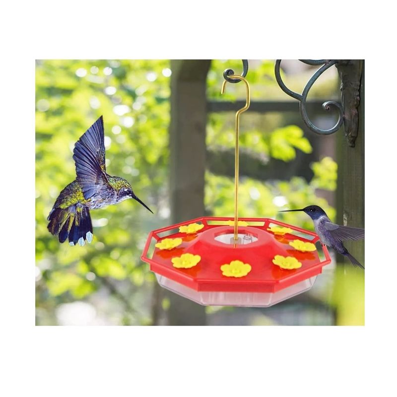 GENERICO - Bebedero Para Colibrí Picaflor Ave Pájaritos Jardín Colgante