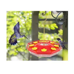 GENERICO - Bebedero Para Colibrí Picaflor Ave Pájaritos Jardín Colgante