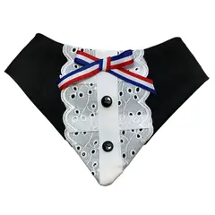 GENERICO - Bandana Disfraz para Perritas y Gatas - Huasa Elegante M