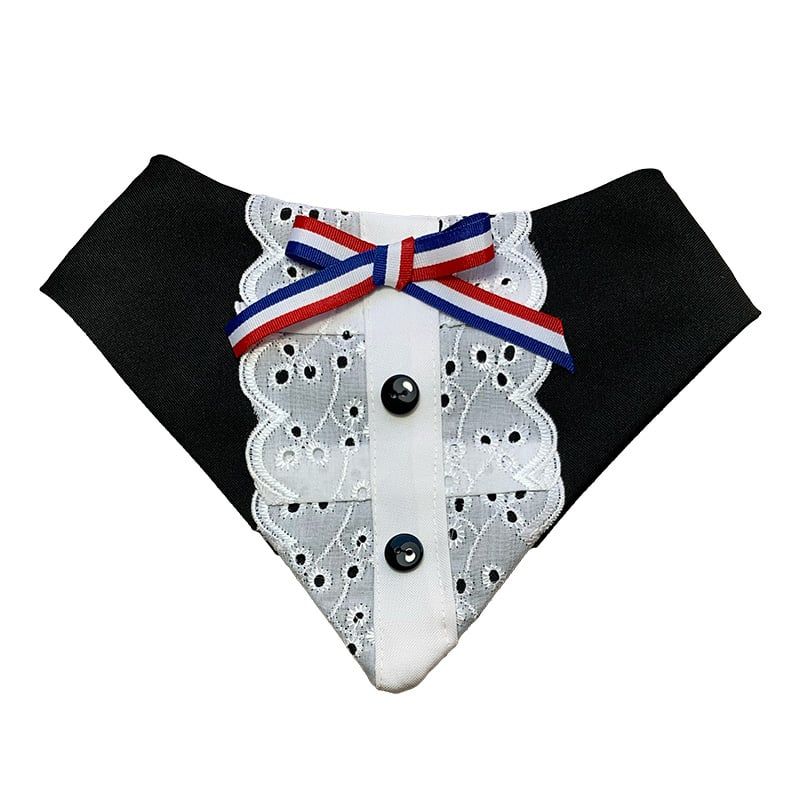 GENERICO - Bandana Disfraz para Perritas - Huasa Elegante L