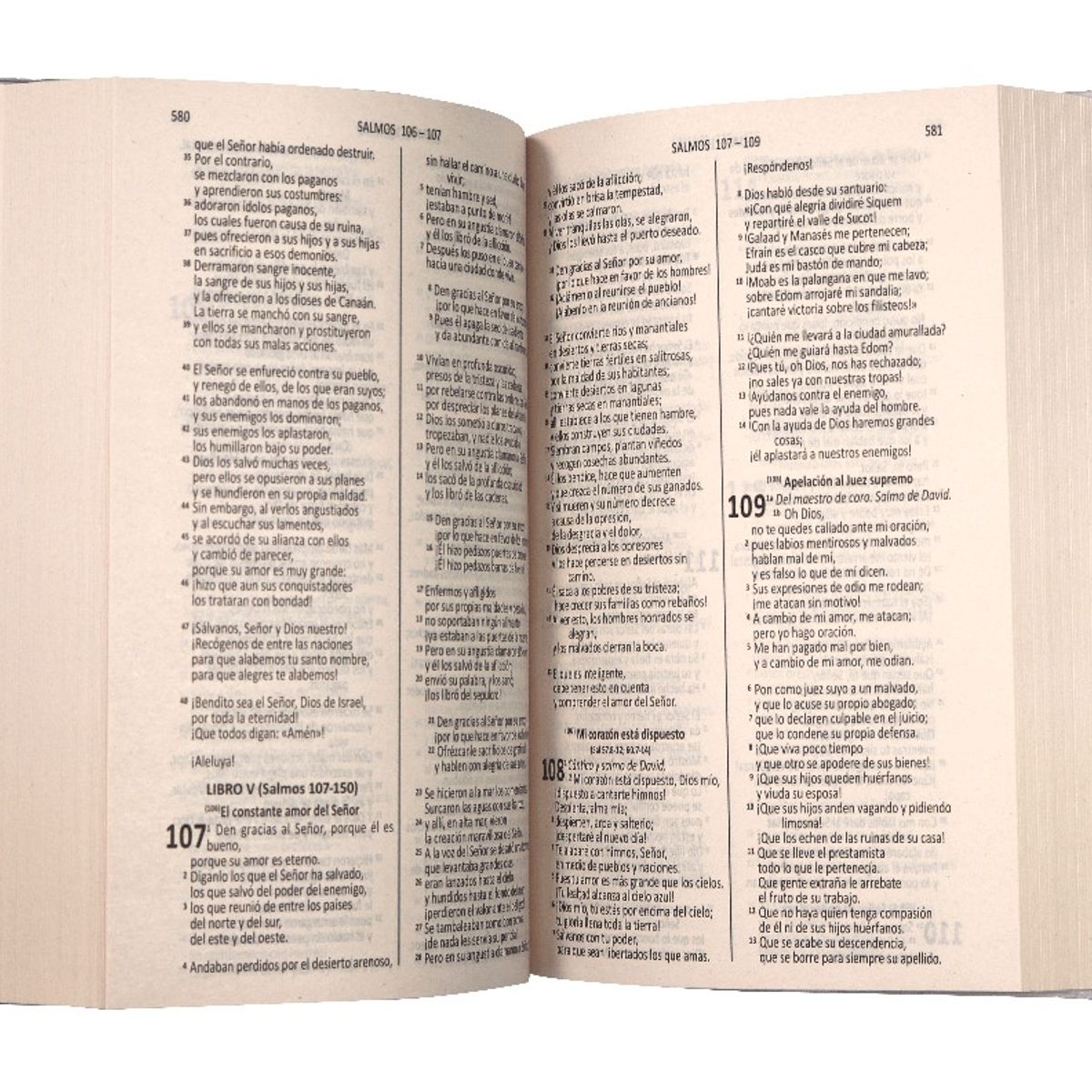 SOCIEDAD BIBLICA CHILENA - Biblia DHH deuterocanónicos edición económica buen pastor