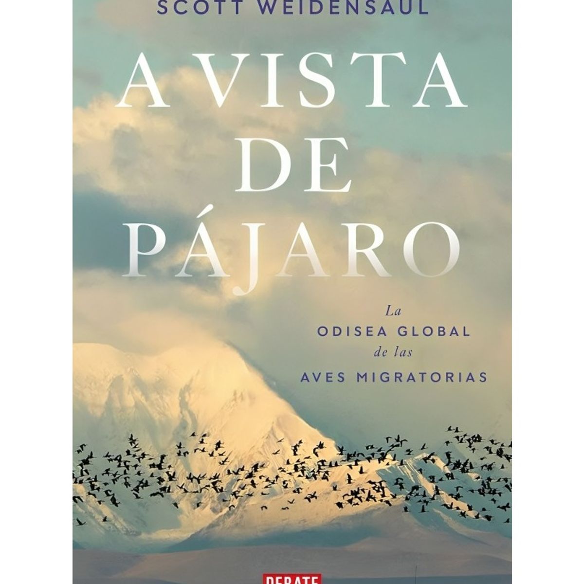 TOP10BOOKS - LIBRO A Vista De Pájaro - A Vista De Pájaro