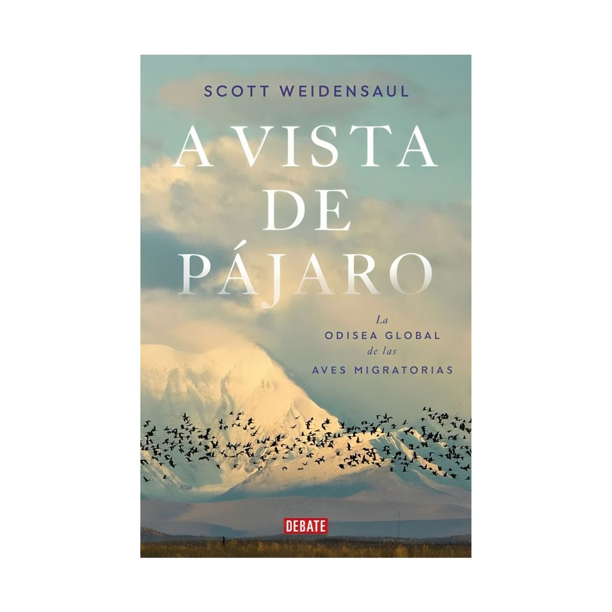 TOP10BOOKS - LIBRO A Vista De Pájaro - A Vista De Pájaro