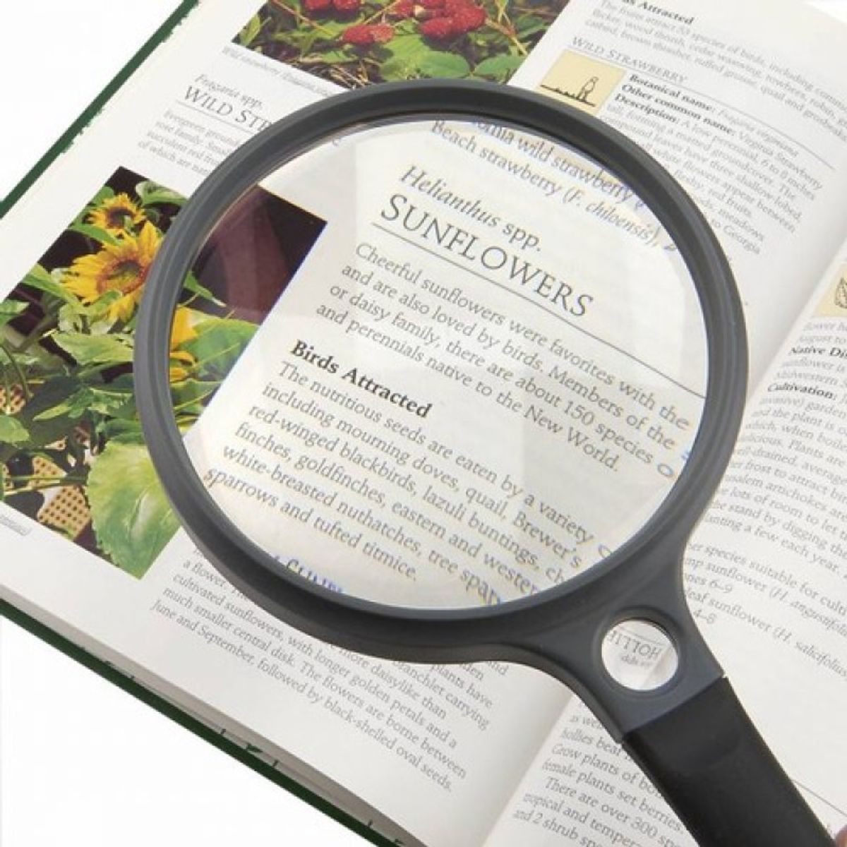 CARSON - Lupa de mano Carson Suregrip Sg-12