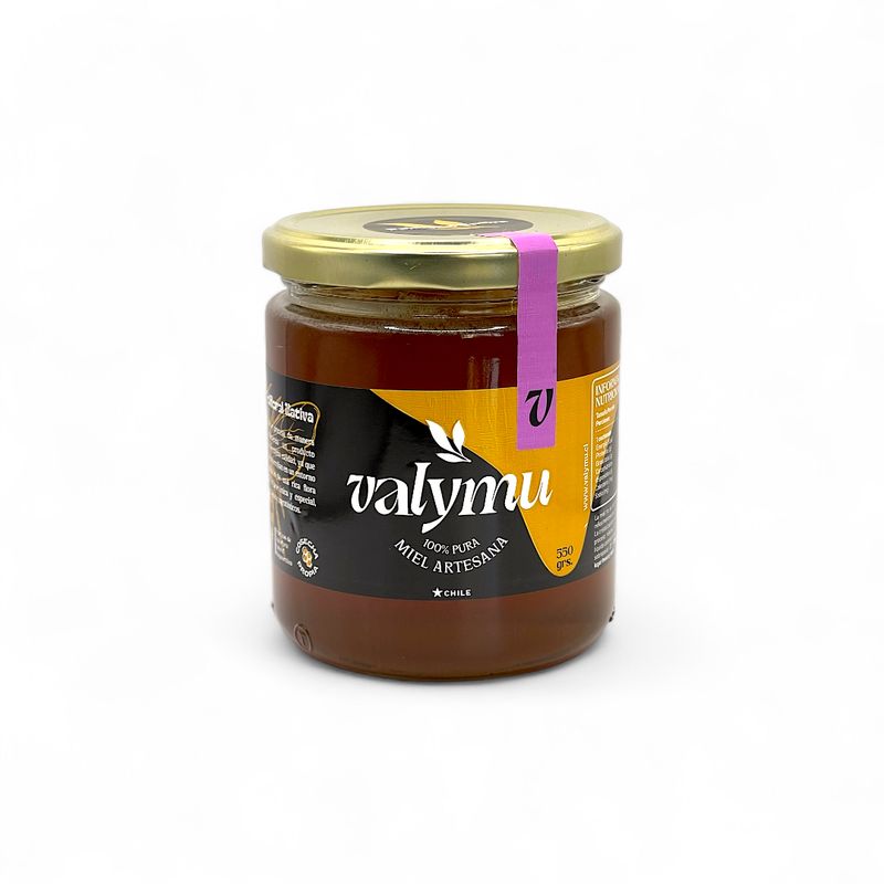 GENERICO - Miel Quillay Polifloral Nativa 550g Envase De Vidrio