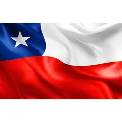 GENERICO - Bandera Chilena 90 X 135 Cm Bandera De Chile Fiestas Patrias
