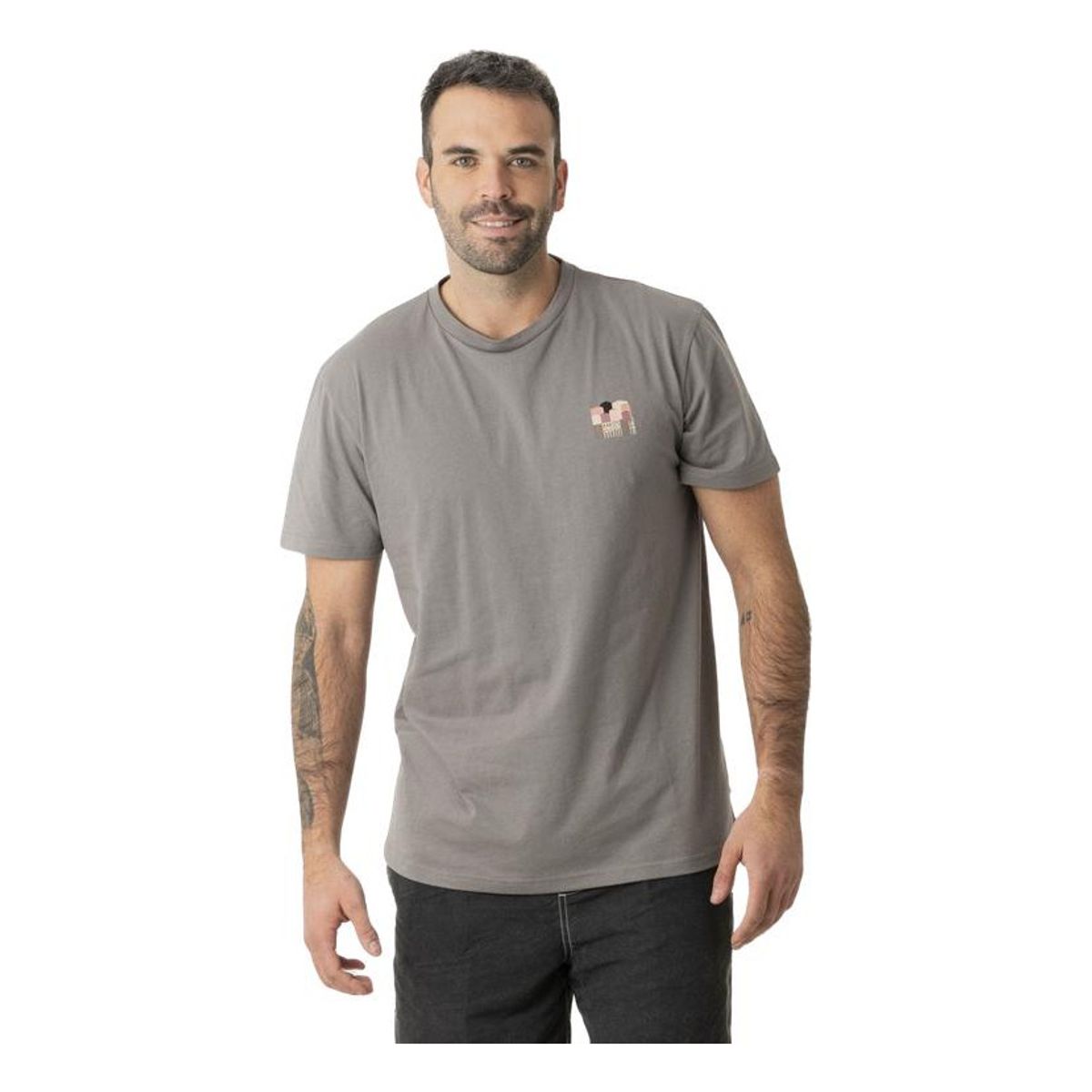 KIVUL - Polera Postales Reciclada Hombre Gris