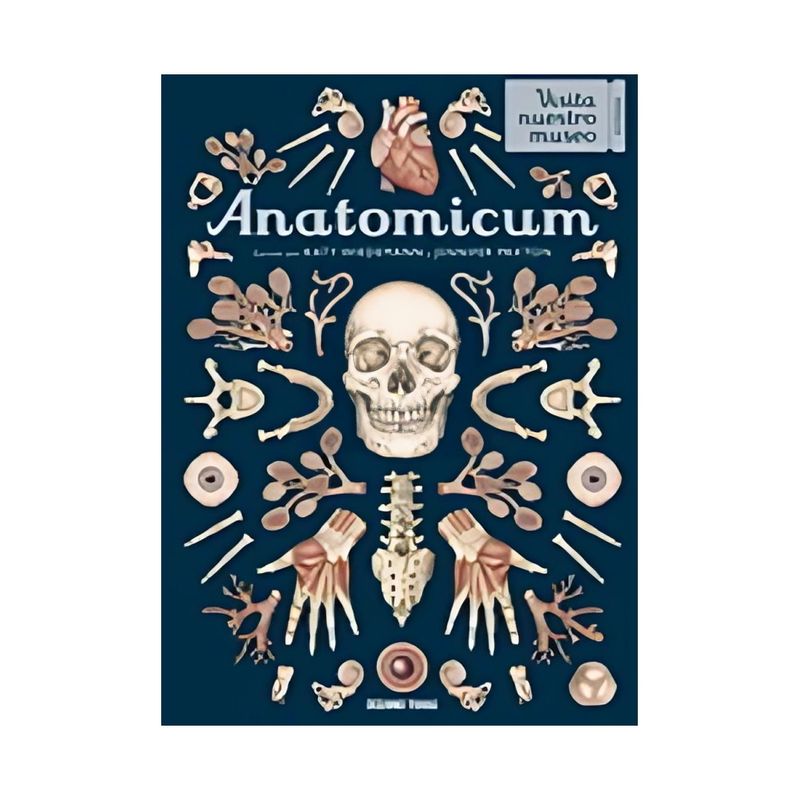 TOP10BOOKS - LIBRO ANATOMICUM / JENNIFER Z PAXTON / TRAVESIA