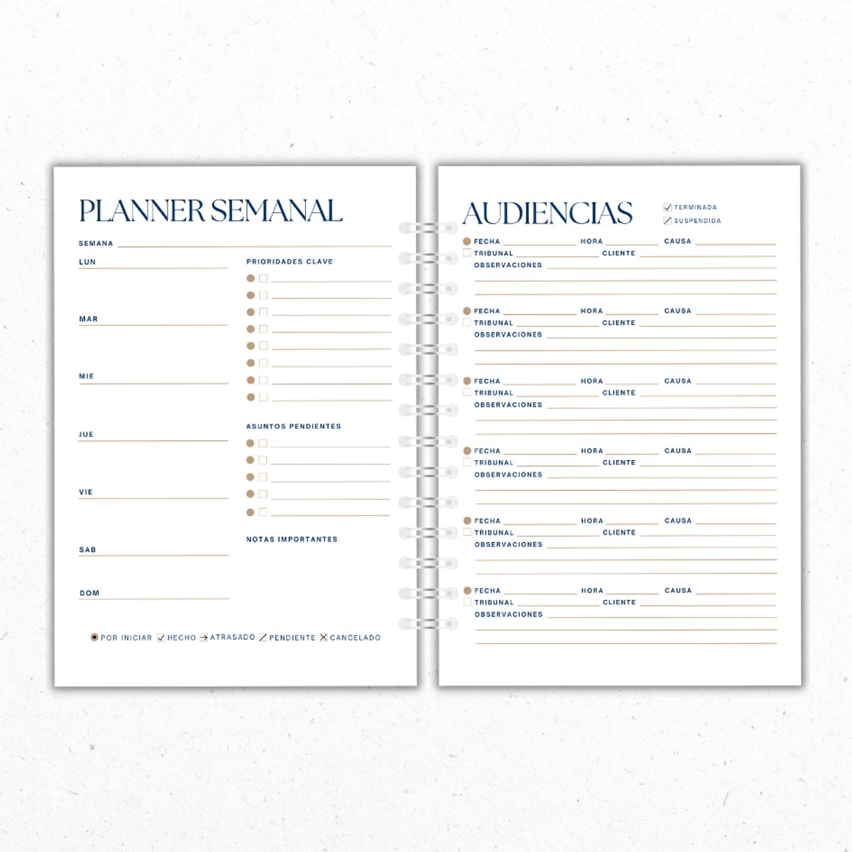 GENERICO - Planner Mensual Abogados Azul