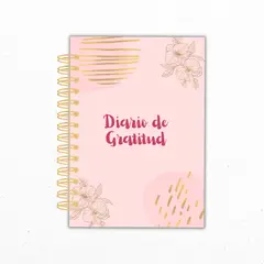 GENERICO - Diario de Gratitud 1