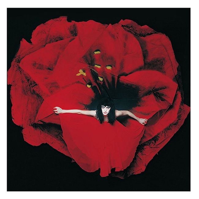 GENERICO - Smashing Pumkins - Adore - Vinilo Doble