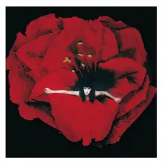 GENERICO - Smashing Pumkins - Adore - Vinilo Doble