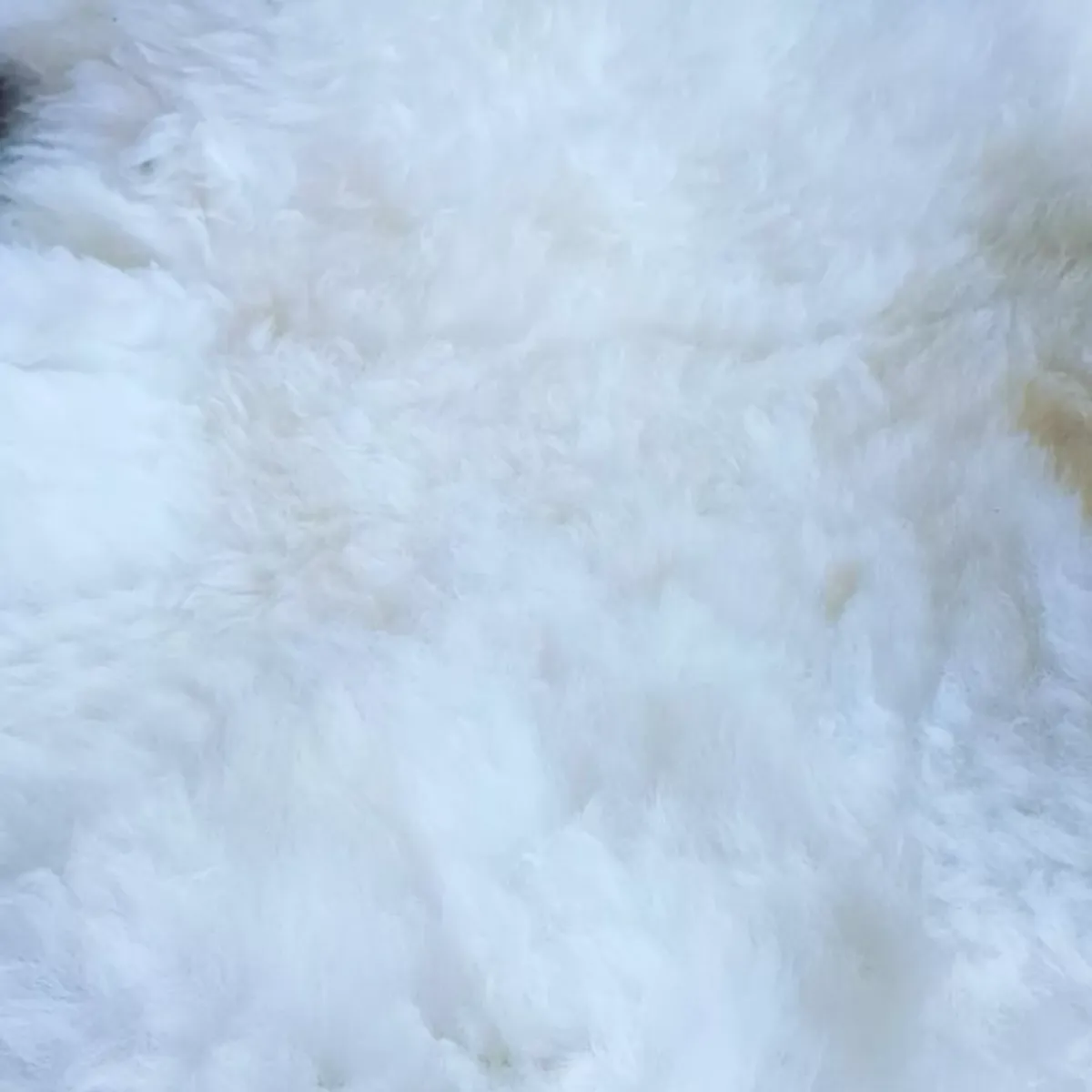 GENERICO - Cuero de Oveja Natural