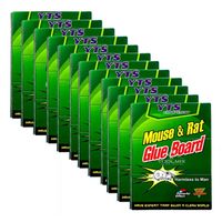 Pack 12 Trampas Para Ratones Pegajosa Control Desratizacion