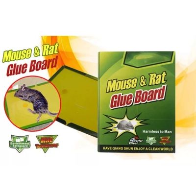 Imagen 2 del producto Pack 12 Trampas Para Ratones Pegajosa Control Desratizacion