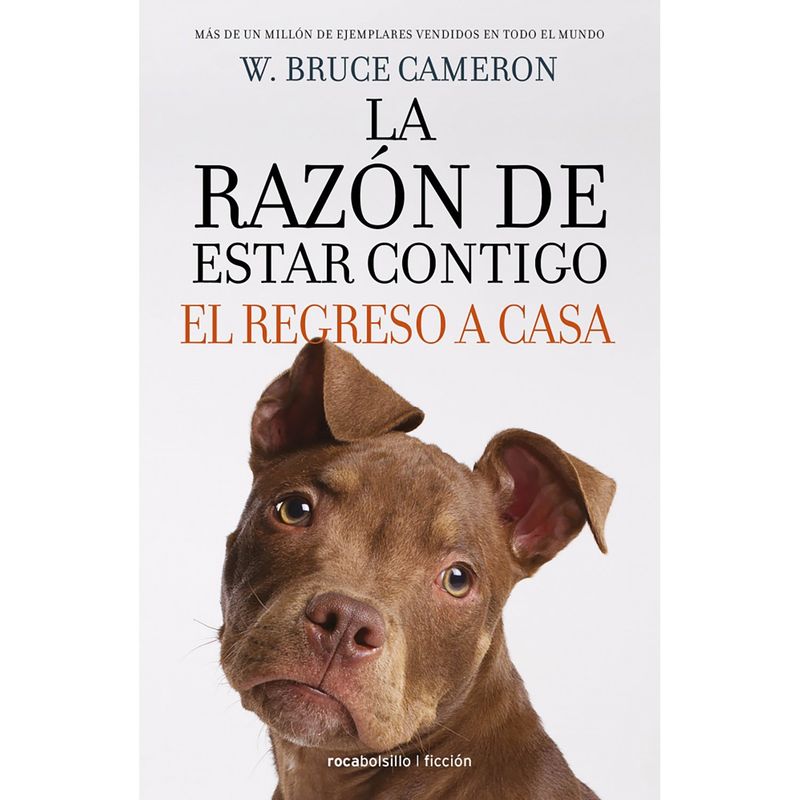 PENGUIN RANDOM HOUSE - LIBRO La Razón De Estar Contigo. El Regreso A Casa
