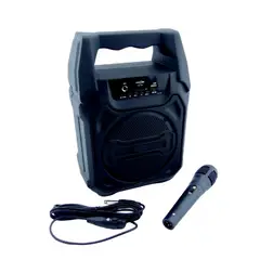 OEM - PARLANTE KARAOKE PORTABLE BLUETHOOTH GREATNICE