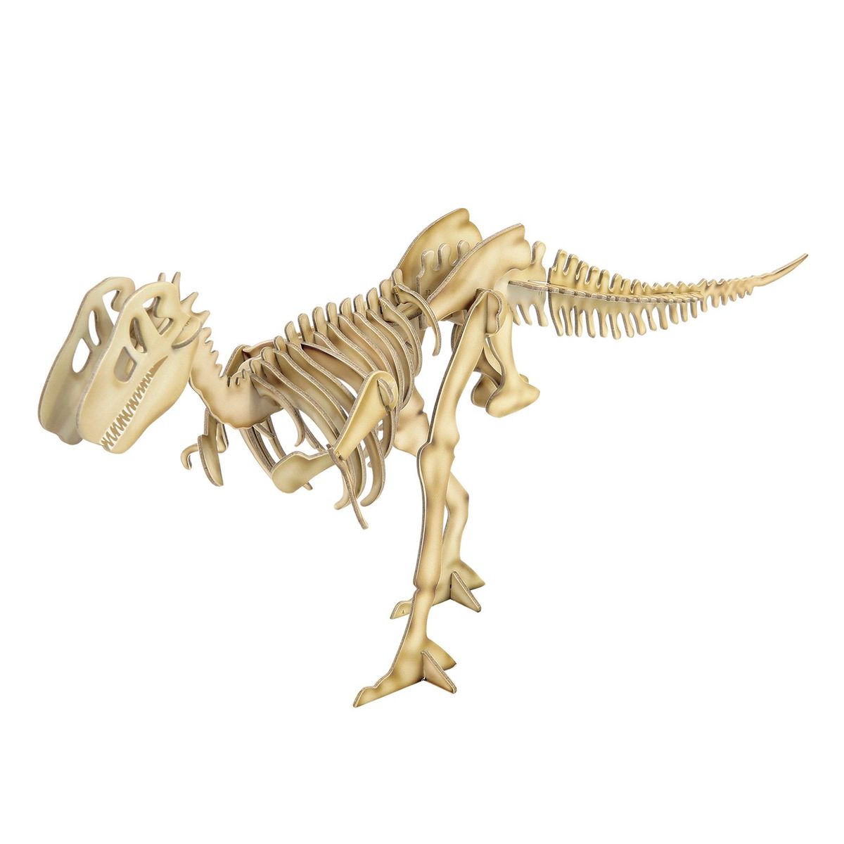 CATAPULTA EDITORES - LIBRO Dinosaurio Nat Lambert