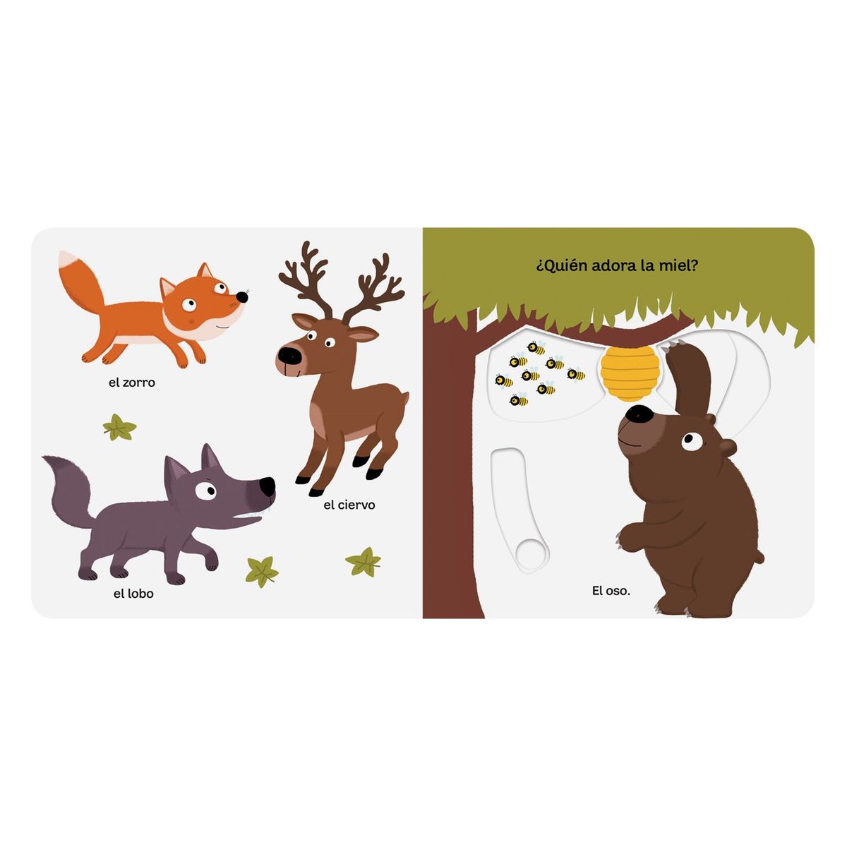 CATAPULTA EDITORES - LIBRO Pequeños Curiosos: Mi Libro De Los Animales Salvajes