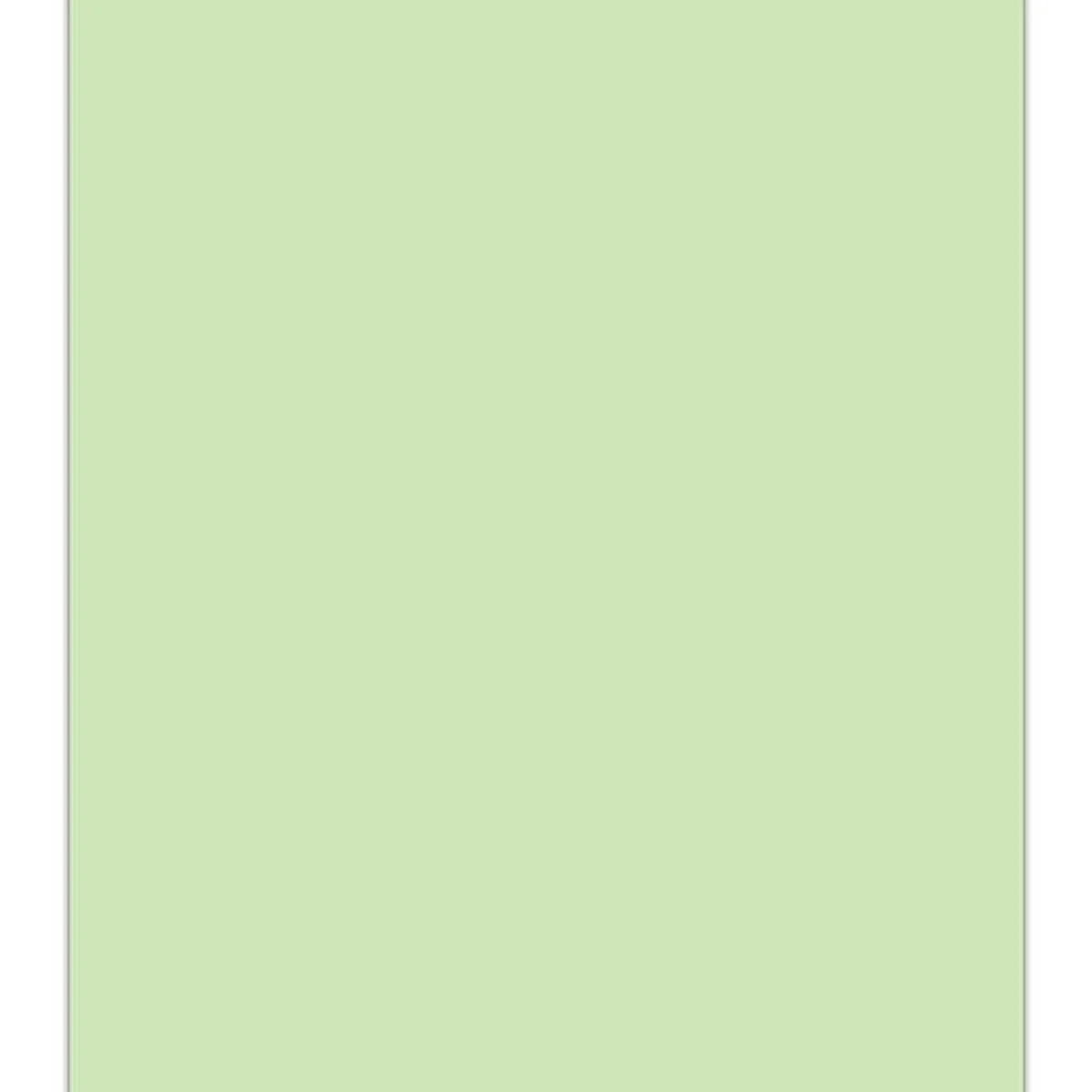 GENERICO - Cartulina Opalina Lisa Colores 50 Hojas 220grs A4 - Verde