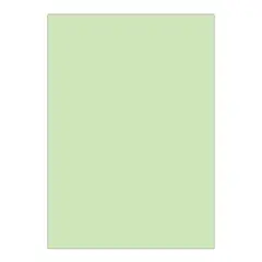 GENERICO - Cartulina Opalina Lisa Colores 50 Hojas 220grs A4 - Verde