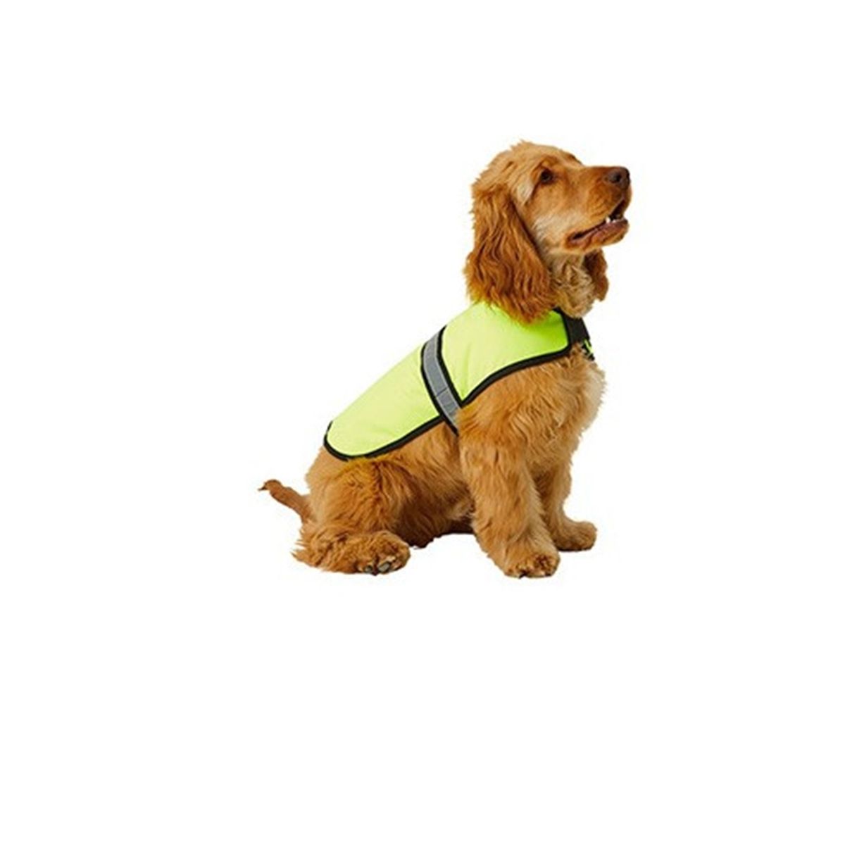 GENERICO - Capa fluorescente luces LED carga USB para perro mediano