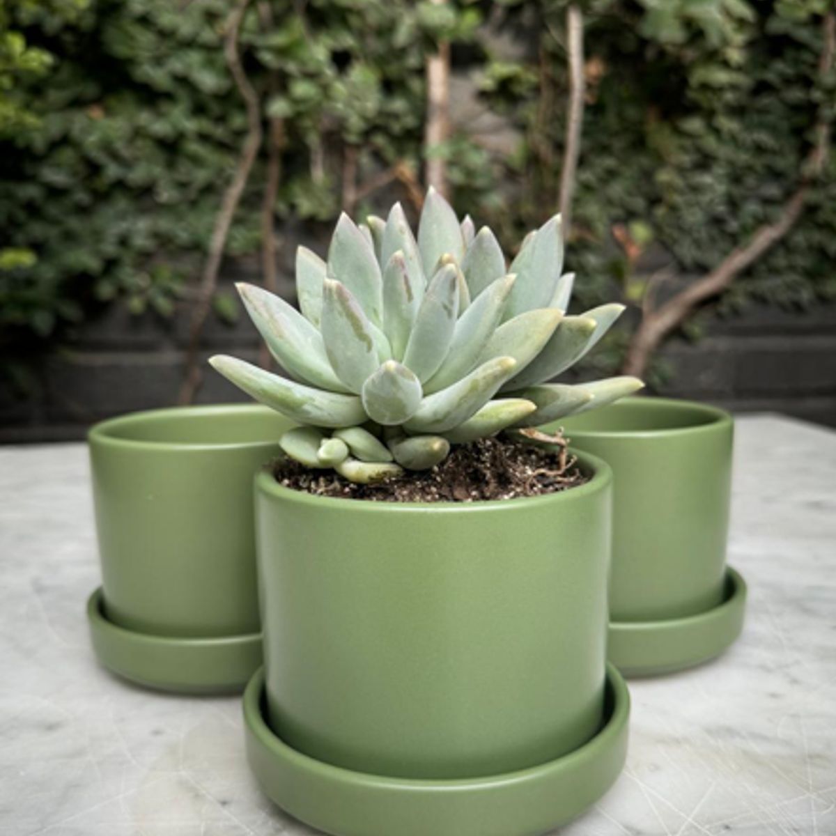 PLANT ME - Pack 3 Maceteros Minimalistas Decorativos