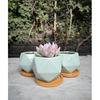 Imagen 2 del producto Pack 3 Maceteros Decorativos con plato de madera