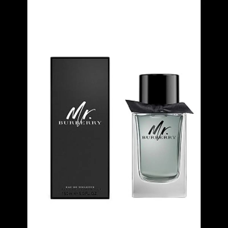 BURBERRY - BURBERRY MR BURBERRY 100ML EDT