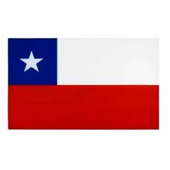 OEM - Bandera De Chile 90 X 145 Cm Tela Banderín