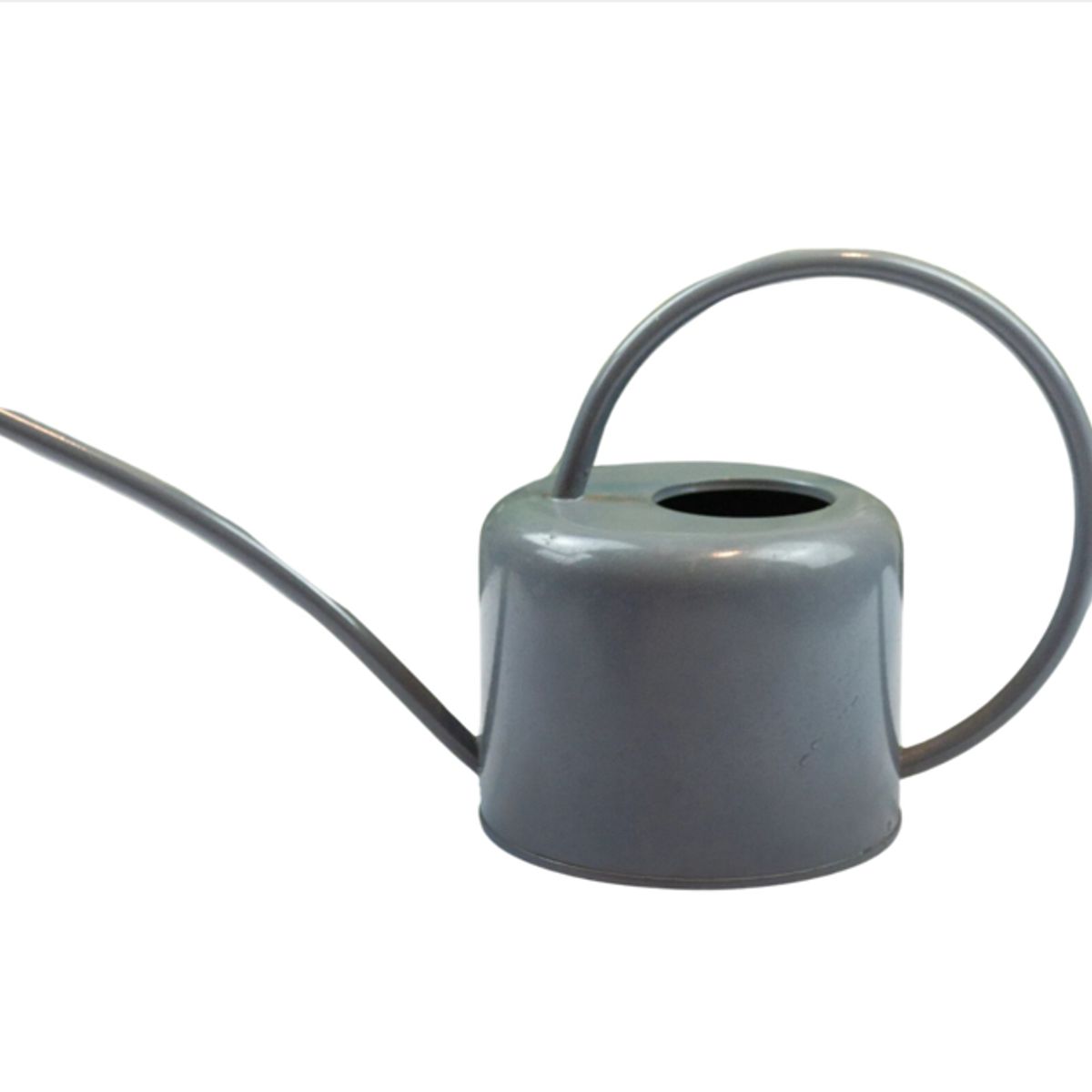 PLANT ME - Regadera Metálica Decorativa Plantas