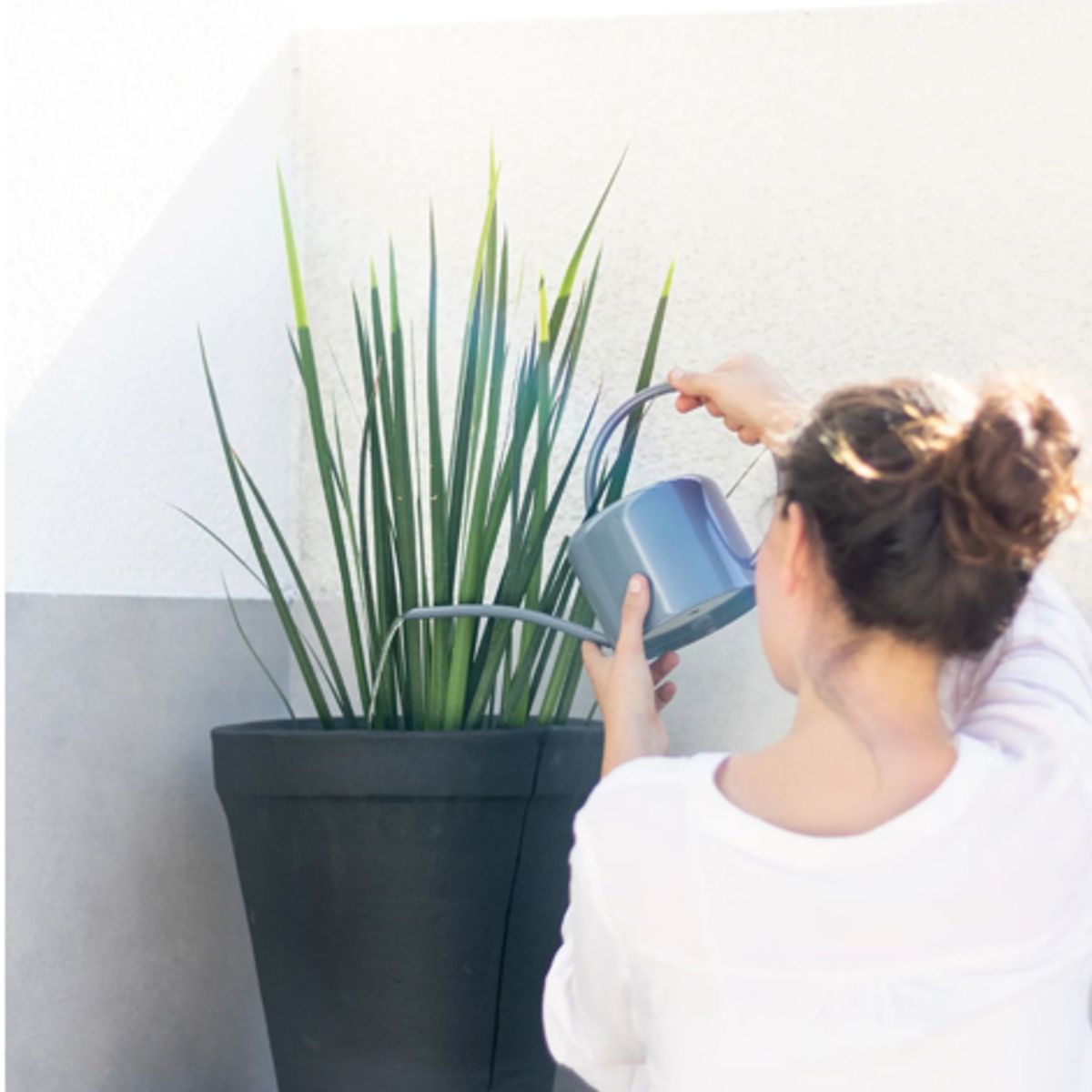 PLANT ME - Regadera Metálica Decorativa Plantas