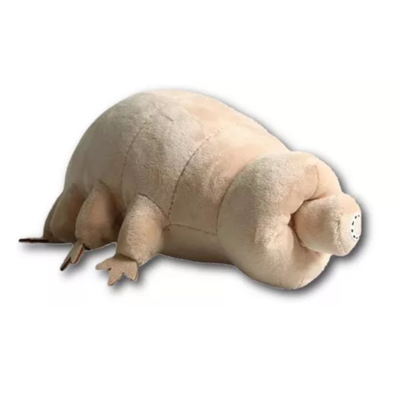 GENERICO - Peluche Tardígrado Oso De Agua Invertebrado