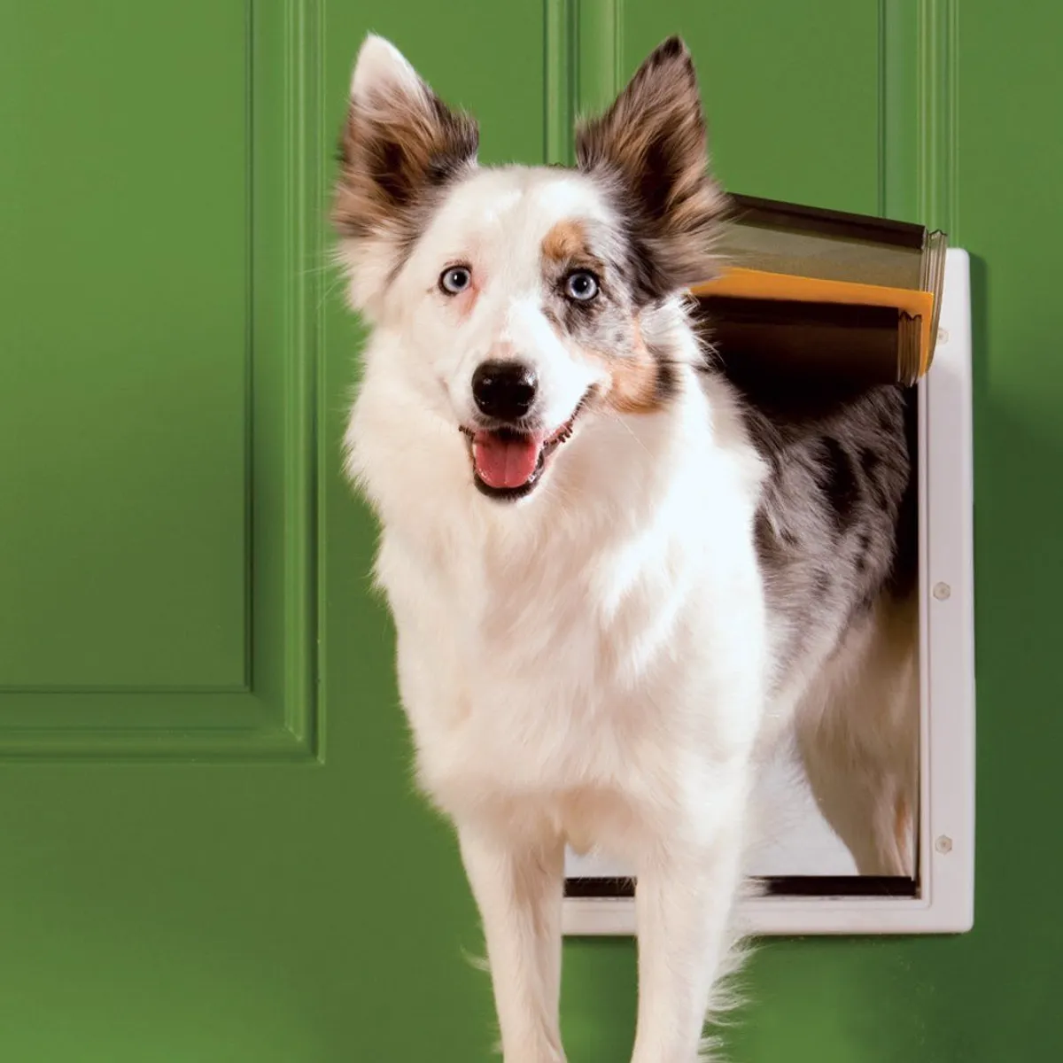 PET SAFE - Puerta Clima Extremo para Perros Mediana Marca PetSafe
