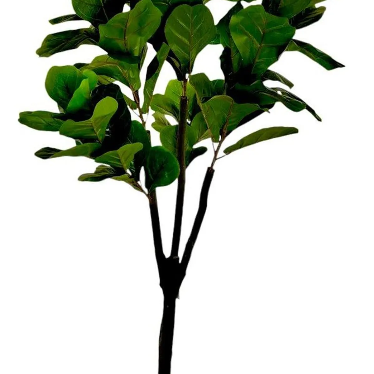 ARBUSTO REAL - Planta Artificial Ficus Lyrata Deluxe 180 cm. / 88 Hojas Arbusto Real