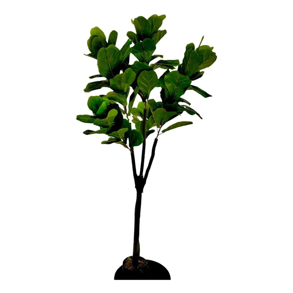 ARBUSTO REAL - Planta Artificial Ficus Lyrata Deluxe 180 cm. / 88 Hojas Arbusto Real
