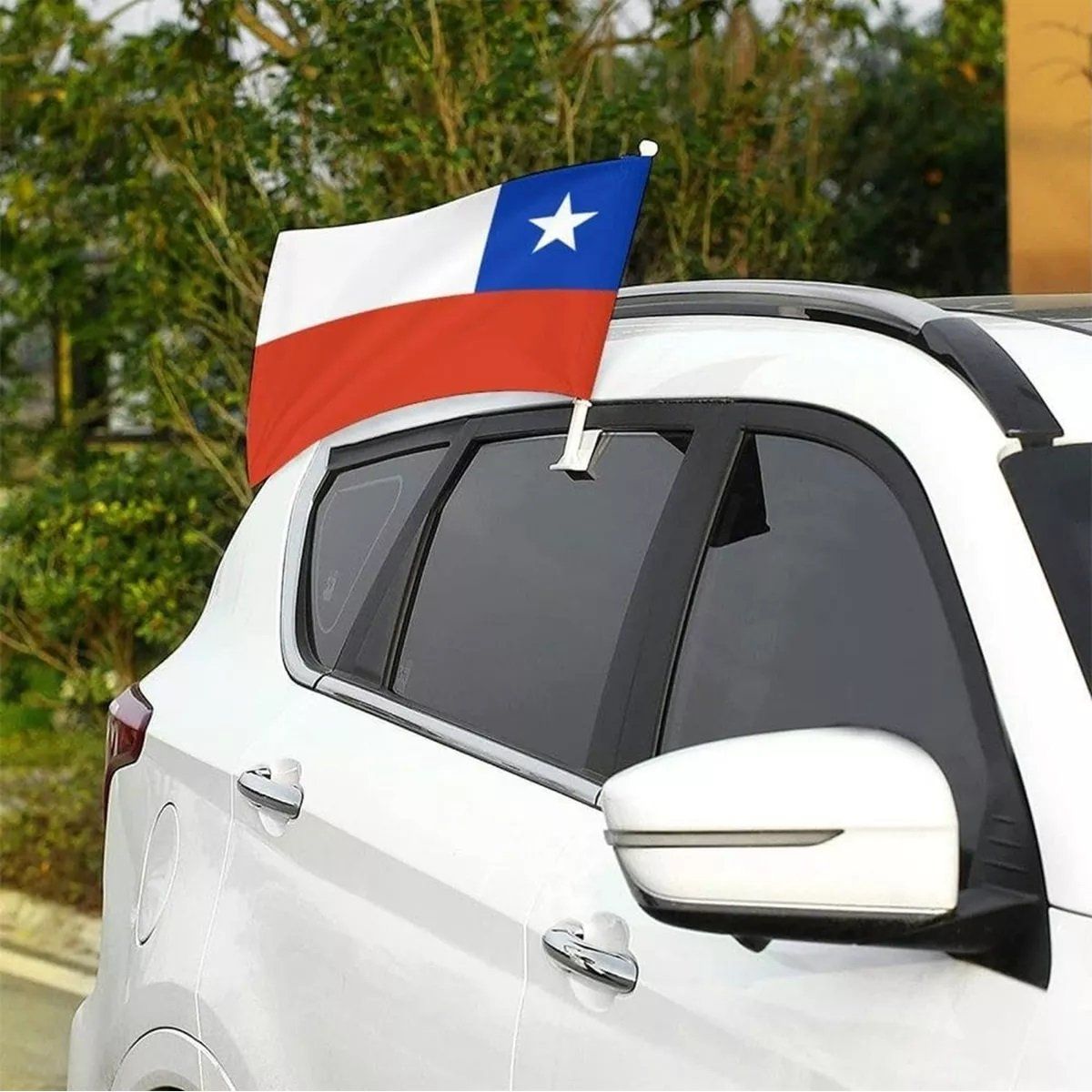 GENERICO - Pack 12 Banderas Chile Auto Fiestas Patrias Banderin 20x30cm
